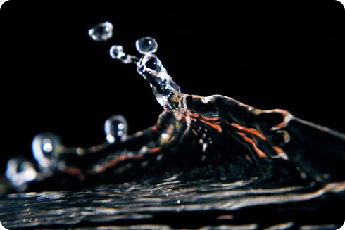 Customer Satisfaction Is Our First Priority